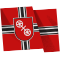 PCEE295_Mainz_flag.png