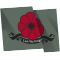 PCEE379_Remembrance_flag.png