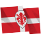 PCEE652_Michelangelo_flag.png