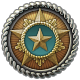 Icon_achievement_CAMPAIGN_SB_COMPLETED.png