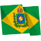 PCEE436_Brasil_Bandeira_flag.png