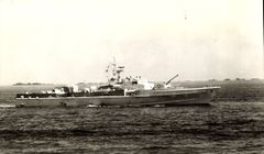 Kormoran_P6077.jpg