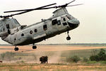 CH-46_7.jpg