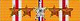 Asiatic_Pacific_Campaign_Medal_9_zvezdi.png