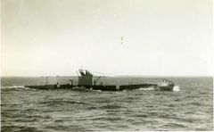 HMS_U1.jpg