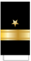 245px-US_Navy_O7_рукав.svg.png