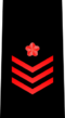 195px-JMSDF_Leading_Seaman_insignia_-28b-29.svg.png