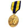 PCZC211_AA_Expeditionary_Medal.png