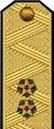 Звания_вице-адмирал_1943.jpg