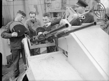 British_20_mm_in_Mark_V_twin_mounting_on_HMS_Starling.jpg