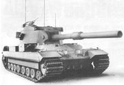 FV215b_21.jpg