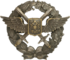 Нагрудный_знак_Военный_летчик.png