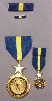 Navy_Distinguished_Service_Medal_2.jpg