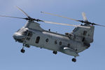 CH-46_1.jpg