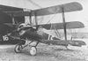 Sopwith_triplane_pic.jpg