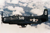 AD-3_Skyraider.jpeg