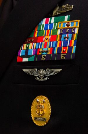 Navy_Ribbons_and_Badges.JPG