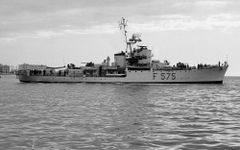 Cormorano_F575.jpg