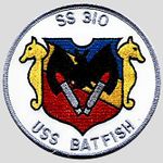 SS-310_Badge.jpg