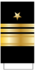 245px-US_Navy_O9_рукав.svg.png