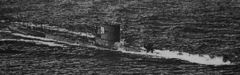 U-39.jpg