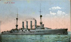 SMS_Roon_color.jpg