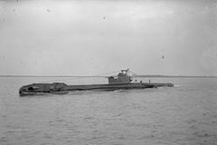 HMS_Trump_(P333).jpg