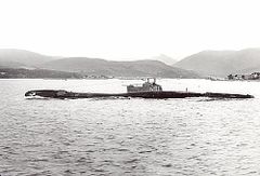 HMS_Trooper_(N91).jpg