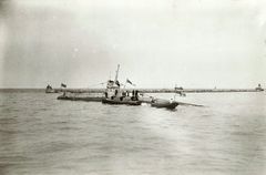 HMS_H29.jpg