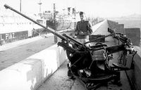 Flak_30_20mm_3.jpg