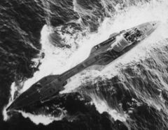 U-516.jpg