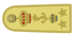 Shoulder_boards_of_ammiraglio_designato_d'armata_of_the_Regia_Marina_(1936).png