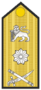 South_African_Navy_OF-6_collected.png