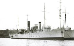 HMS_Bryony_(1917).jpg