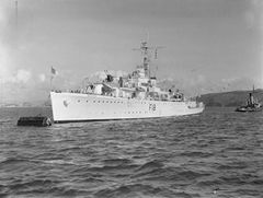HMS_Flamingo_1949_IWM_FL_4015.jpg