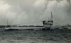 HMS_L22.jpg