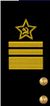 Звания_вице-адмирал_1943_рукав.jpg