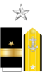 245px-US_Navy_O7_insignia.svg.png