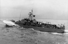 Fische_M1096.jpg