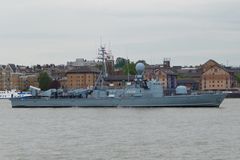 Wiesel_P6129.jpg