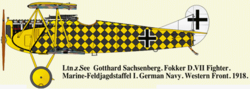 Fokker_D.VII_Gotthard_Sachsenberg._West_Front,_1918.png